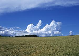 安心の永代供養を実現！大阪市で選ぶ最適な供養方法とポイント