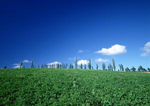 家族葬のタクセル雀宮｜栃木県宇都宮市の安心・低価格な家族葬専門斎場