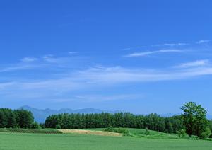 栃木県小山市の信頼と実績の葬儀場「さがみ典礼 小山」―多様な葬儀スタイルに対応した安心のサービス