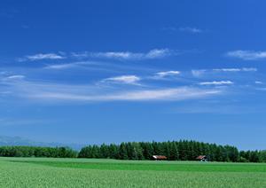 静岡市駿河区における高品質な家族葬を提供する富士葬祭 中村町の詳細ガイド