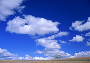 静岡市清水区の信頼できる葬儀場【富士葬祭 清水】：安心と品質を提供する家族葬・一般葬対応斎場の詳細解説
