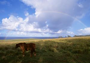 【公式】さがみ典礼 滝の原｜栃木県宇都宮市の充実した葬儀施設とサポート体制
