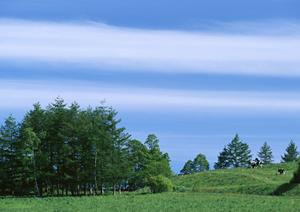 【グーグルビジネスプロフィール完全ガイド】最適な店舗情報の公開と活用法