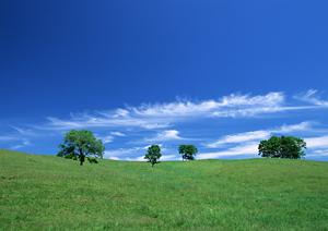 静岡市の信頼と実績を誇る家族葬・葬儀場|富士葬祭 豊田の詳細情報と特徴