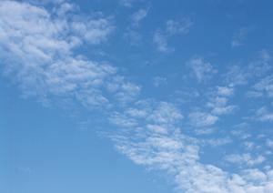 静岡市の信頼と実績を誇る富士葬祭 材木町:安心の葬儀サービスと地域密着型の斎場案内